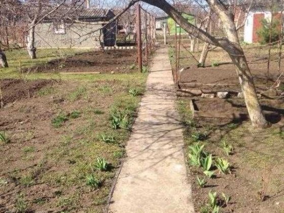 Продам дом-дачу недорого в Светлом, 5 км от Одесси Світле