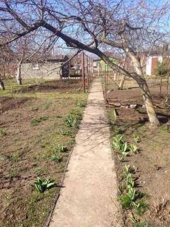 Продам дом-дачу недорого в Светлом, 5 км от Одесси - фото 1