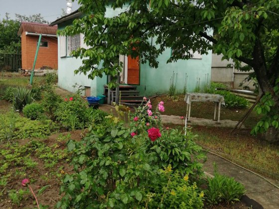 Дачний будиночок в с. Світле Старі дачі Світле