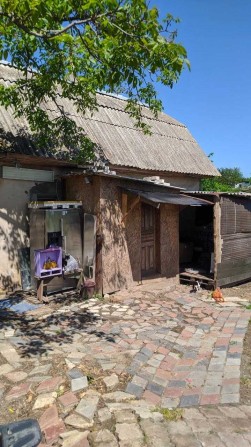 Дом в с.Светлом/Новые дачи - фото 1