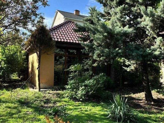 Редкое предложение!! Дом у самого моря! 20 соток зеленой территории Санжійка