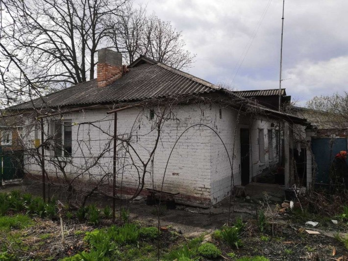 Будинок у центрі Кобеляк | 69,8 м² | газ, гараж, ділянка - фото 1