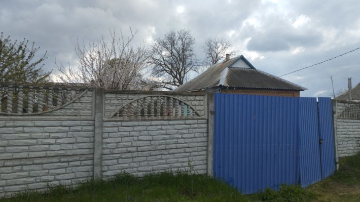 Будинок у Рибцях - фото 1