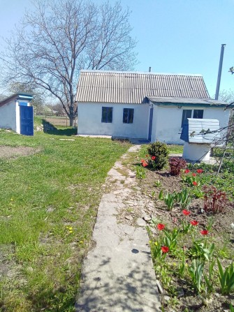 Продам будинок в селі Мачухи від Полтави 10 км - фото 1