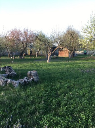 Продаеться дім с Мачухи - фото 1
