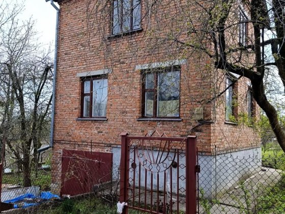 Будинок в селі Петрики