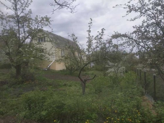 Великий будинок + 15 соток землі у місті ID:44664 Олешин