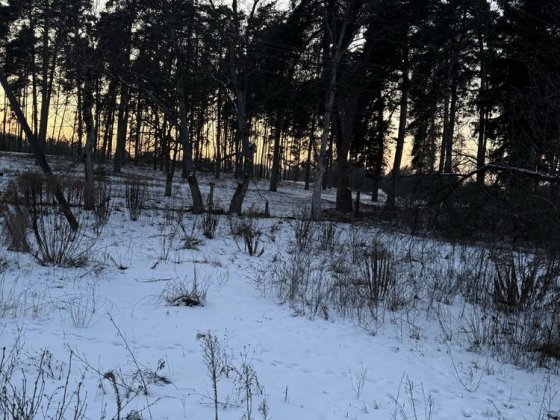 Земельна ділянка та будинок на межі з лісом 20 соток с.Геронимівка Геронимовка