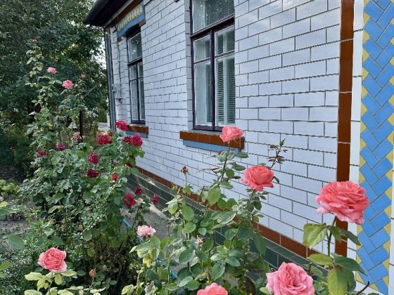 Продам будинок в центрі міста Жашків Черкаська область Жашков