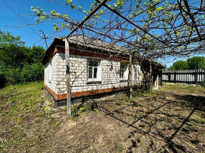 Продам будинок село Олишівка 45м2,Сертифікат(NN) - фото 1