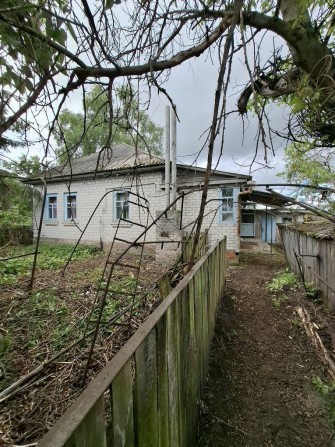 Продаж будинок с. Олишівка 35 км від м Чернігів - фото 1