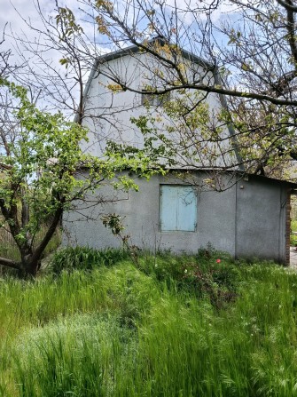 Продам дачный участок в 15 км. от Запорожья,цена 4,5 у.е. - фото 1