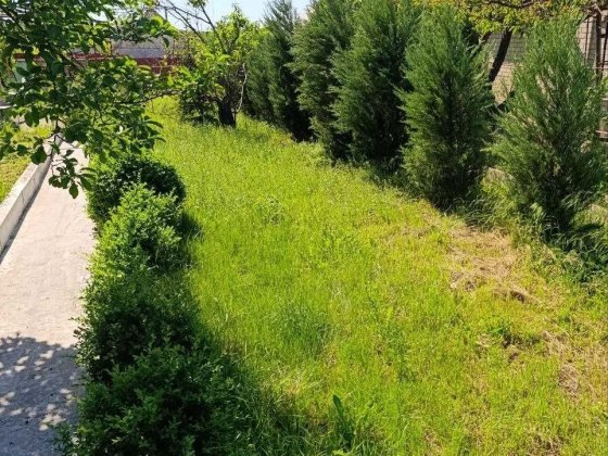Продам дачу, р-н Левшинский залив, Вольноулановское Вільноуланівське