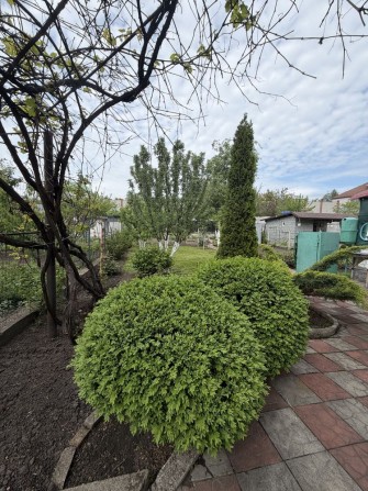 Продам дачу Курилівка - фото 1