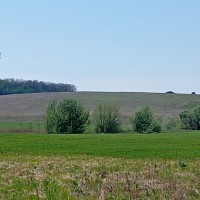 Срочно продам видовый земельный участок в Гореничах Гореничи