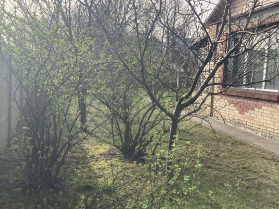 Будинок в Києві пров.  Жмеринський,4 Киев