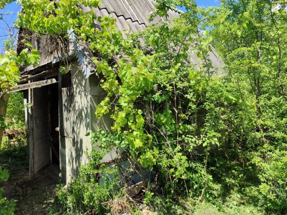Продається дача с/тЖитловик на території Павлівської сільської радиТисменецький р-н Ивано-Франковск