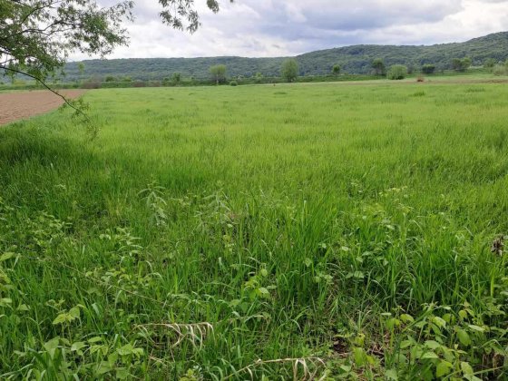 Продаж буд. с.Побережжя вул.Ковпака  6 +56 сот.землі.Івано-Франківськ Івано-Франківськ