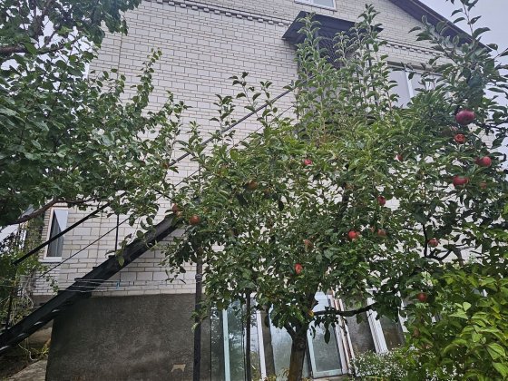 Будинок з ремонтом Центральний парк Ирпень