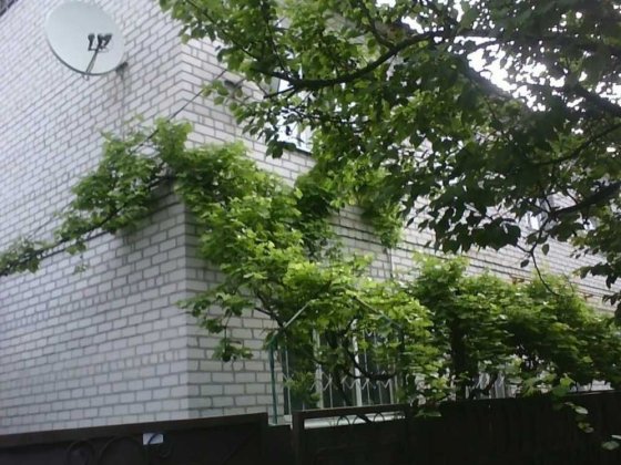 Продається будинок в тихому місці Кременчук