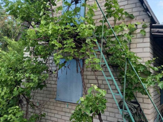 Продам 2 смежные дачи ост. Будка Кривий Ріг