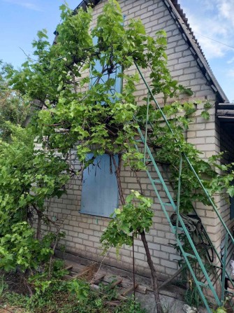 Продам 2 смежные дачи ост. Будка - фото 1