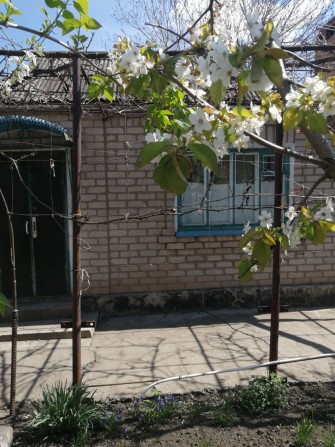 Продаю жилий  будинок  з присадибною ділянкою - фото 1