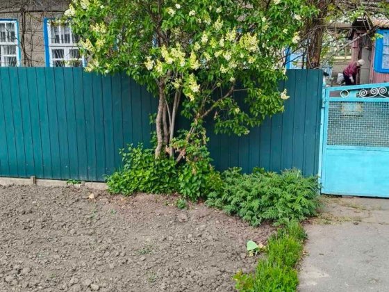 Продаж 1 поверхового будинку з ділянкою на 5.73 сотки Кривий Ріг