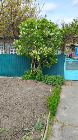 Продаж 1 поверхового будинку з ділянкою на 5.73 сотки - фото 1