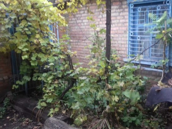 Продам будинок з землею на вул. Чорногорка (Маміна-Сибіряка) Кривий Ріг