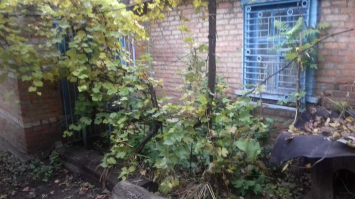 Продам будинок з землею на вул. Чорногорка (Маміна-Сибіряка) - фото 1