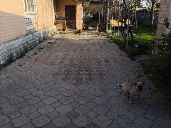 Большой частный дом 7км Кривой Рог