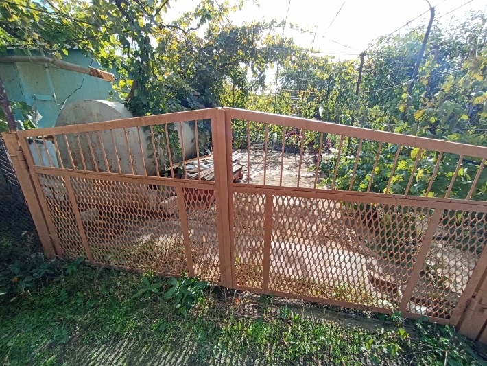 Продаж дачі кооператив "Вишневе" - фото 1