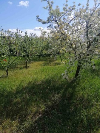 Продам дачу на Долгинцево - фото 1