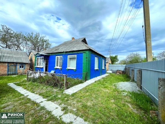 ‼️25 Соток‼️Окремий Будинок з прямим виходом на Озеро з ділянки. Є Кадастровий Номер. Металопластико Полтава