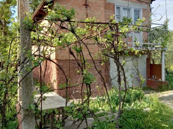 Продаж дачі 14 соток землі + гараж у сосновому лісі №19189