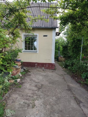 Продам садовий будинок з рівною ділянкою - фото 1