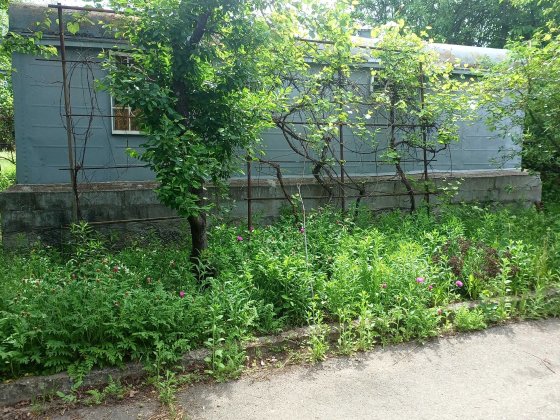 Продається дачна ділянка Полтава