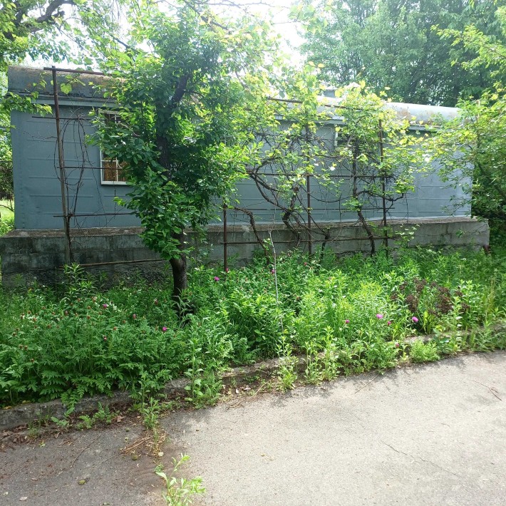 Продається дачна ділянка - фото 1