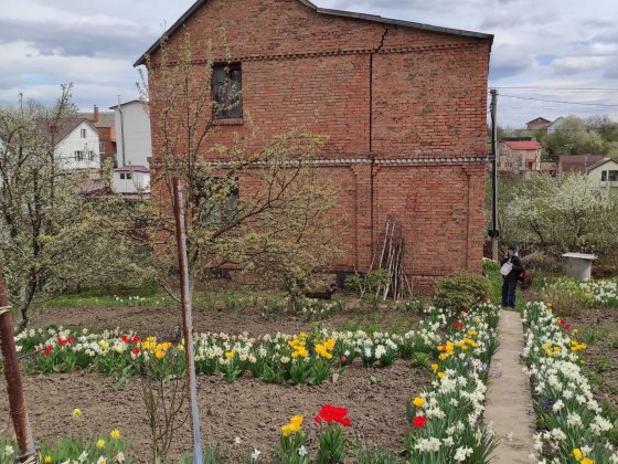 Продаж дачного будинку Лезнево Хмельницкий