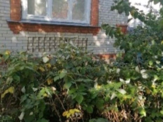Терміновий продаж будинку поруч з Царським Суми