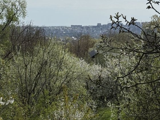 Дача, 1 хв до центральної дороги Чернівці