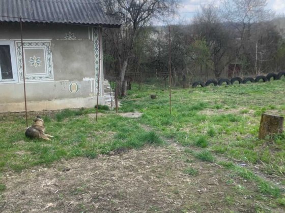 Нерухомість Дача Чернівці