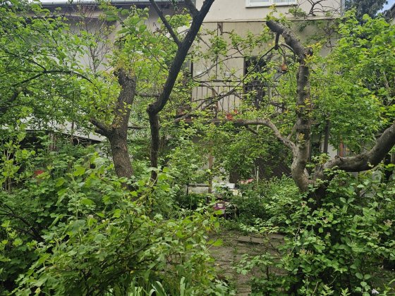 Продаж будинку  Чернівці Чернівці
