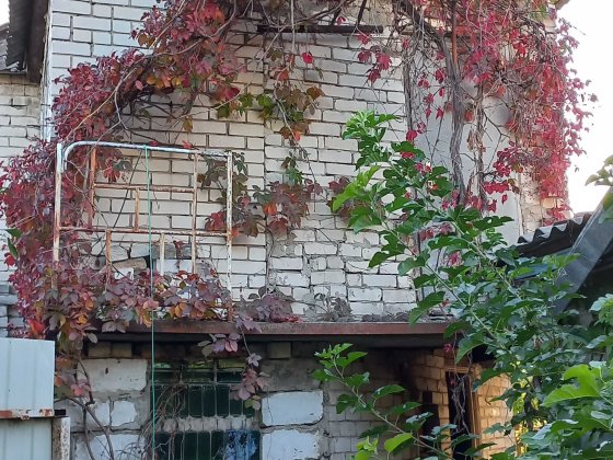 Продається будинок та ділянка у центрі Черкас, ділянка приватизована (В.Горова) Черкаси