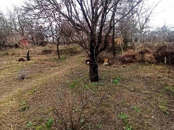 Продаж дачного будинка із земельною ділянкою в СТ « Енергетик» Черкаси