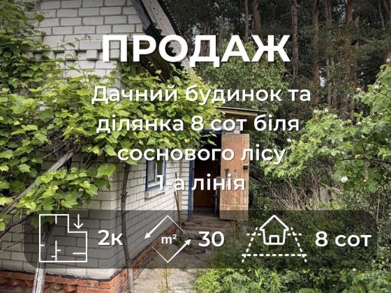 Дача біля соснового лісу — перша лінія, 8 соток, цегла, 2 поверхи (М77) Чернигов