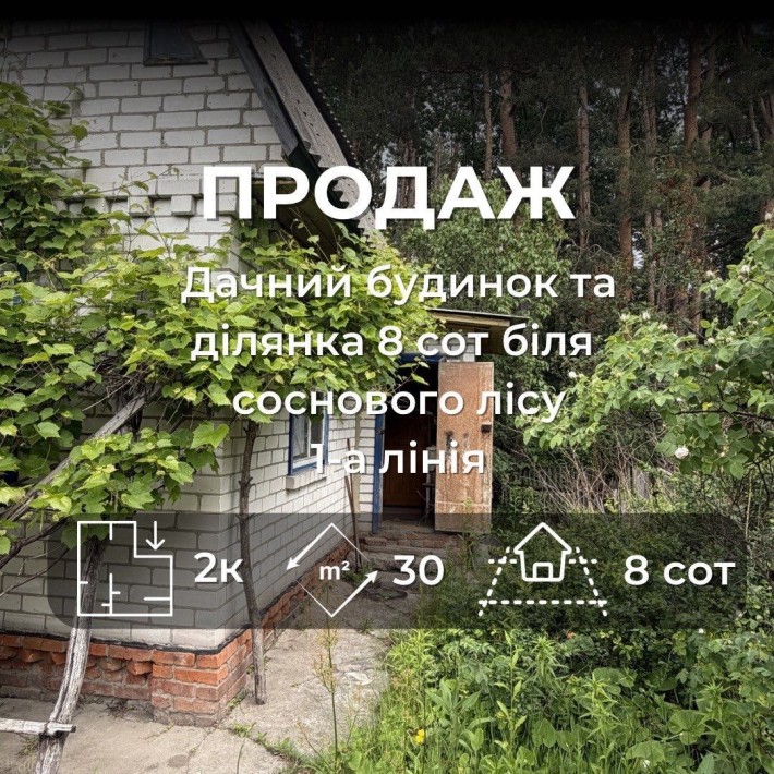 Дача біля соснового лісу — перша лінія, 8 соток, цегла, 2 поверхи (М77) - фото 1