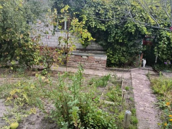Продаж дачі з будинком та ділянкою Чернигов