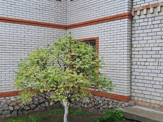 Продаж будинку в центрі міста Дніпро вул.Артема. Дніпро